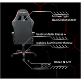 DXRacer Gaming Stuhl PG-Series